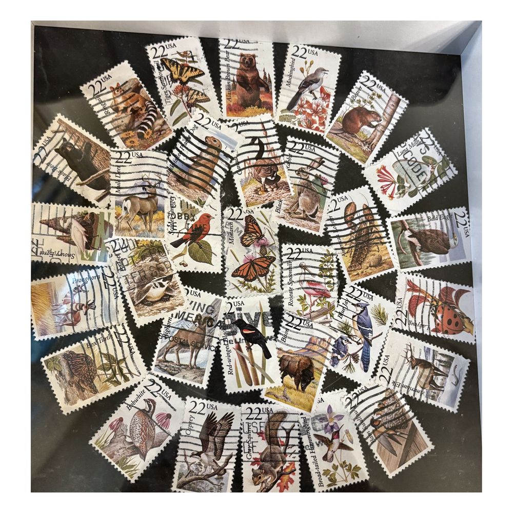 American Fauna framed postage stamp art — US wildlife stamps of birds, mammals and insects