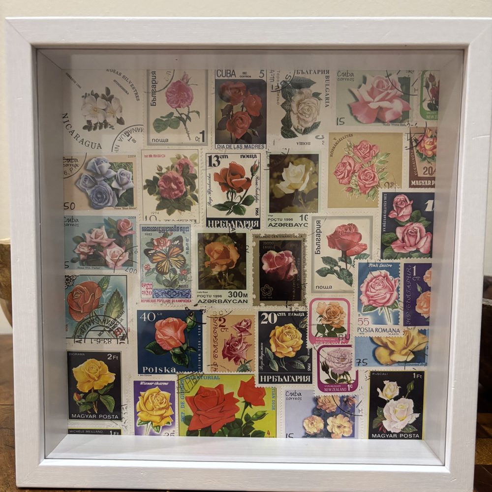 La Vie en Rose framed postage stamp art — a full-frame mosaic of vintage rose stamps from around the world in a white 8x8 shadow box